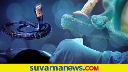Dream Interpretation: ಕನಸಲ್ಲಿ ಹಾವು ಪದೇ ಪದೇ ಬರ್ತಿದ್ಯಾ? ಕಾರಣ ಹೀಗಿರಬಹುದು..