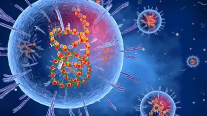 Explained: What is Lassa fever? Know its symptoms, other details