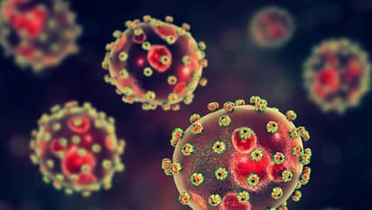 Lassa Fever : ലാസാ പനിയെ കുറിച്ച് കൂടുതലറിയാം; എങ്ങനെ പ്രതിരോധിക്കാം?