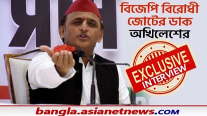 মমতার পথেই হাঁটলেন অখিলেশ, বিজেপি বিরোধী জোট নিয়ে জরুরি বার্তা সপা প্রধানের