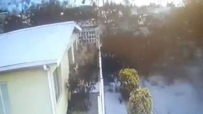 Birds fall to death : നൂറുകണക്കിന് പക്ഷികൾ കൂട്ടത്തോടെ വീഴുന്നു, ചാവുന്നു, അമ്പരപ്പിക്കുന്ന വീഡിയോ