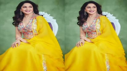 डॉ नेने के अलावा  Madhuri Dixit की लाइफ में है 'वो', एक लाख की साड़ी पहनकर एक्ट्रेस ने किया खुलासा
