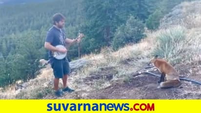 ಕಾಡಿನಲ್ಲಿ ಬ್ಯಾಂಜೋ ನುಡಿಸುವ ಯುವಕ... ಸಂಗೀತಕ್ಕೆ ತಲೆದೂಗಿದ ನರಿ