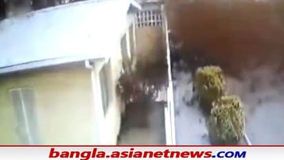 অলৌকিক ঘটনা, আকাশ থেকে মাটিতে আছড়ে পড়ল ঝাঁক ঝাঁক পাখি