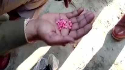 भूल-भुलैया वाला याबा टैबलेटः यह घोड़ों का भी दिमाग खराब कर देता है,20 ग्राम से ज्यादा मिलने पर मौत की सजा