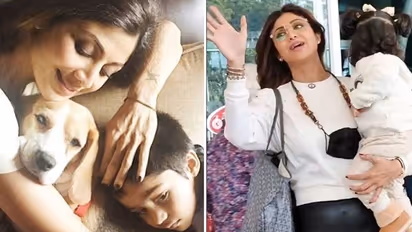 Shilpa Shetty's 'Princess', her first 'baby', passes away; actress shares cute video
