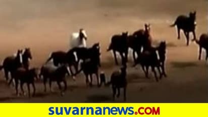 ಬೆಂಕಿ ಅನಾಹುತ... ಭಯಗೊಂಡು ಓಡುತ್ತಿರುವ ಕುದುರೆಗಳ ವಿಡಿಯೋ ವೈರಲ್