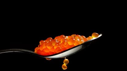 বিশ্বের ১০ টি ব্যয়বহুল ফুড আইটেম, যেগুলি শুধুমাত্র কোটিপতিরাই কিনতে পারেন