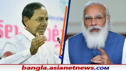 মমতার দেখানো পথেই মোদী বিরোধিতায় নতুন করে গুটি সাজাচ্ছেন কেসিআর