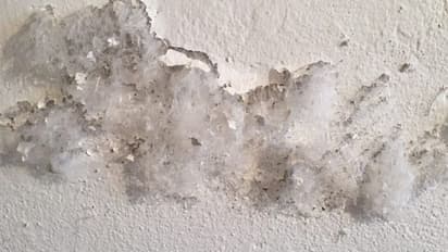 Home Interior : ചുവര് പൊളിയുന്നതും പൂപ്പല്‍ പിടിക്കുന്നതും എന്തുകൊണ്ട്?; അറിഞ്ഞിരിക്കേണ്ടത്...