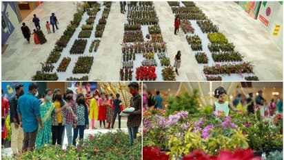 Lulu Flower Fest 2022 : പുഷ്പമേളയെ വരവേറ്റ് തലസ്ഥാനം; ലുലു ഫ്ളവര് ഫെസ്റ്റില് ആയിരത്തിലധികം വൈവിധ്യങ്ങള്