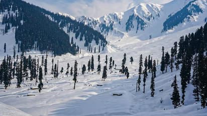 Kodagu: ಶ್ರೀನಗರದಲ್ಲಿ ಹಿಮಪಾತದಡಿ ಸಿಲುಕಿ ವಿರಾಜಪೇಟೆ ಯೋಧ ಸಾವು