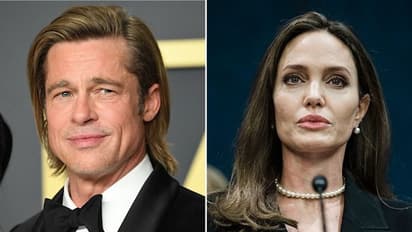 ব্র্যাড পিট এবং তার যুগ্ম মালিকানাধীন ওয়াইন কোম্পানির অর্ধেক বিক্রি করে দিয়েছেন আঞ্জেলিনা
