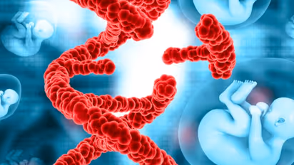 Placenta Encapsulation:  ಹೊಕ್ಕುಳ ಬಳ್ಳಿ ತಿನ್ನೋದ್ರಿಂದ ತಾಯಿಗೆ ಶಕ್ತಿ ಸಿಗುತ್ತದೆಯೇ? 