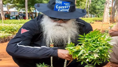 காவேரி கூக்குரல் மூலம் இந்தாண்டு 2.5 கோடி மரங்கள் நட திட்டம்..! கடந்த 2 ஆண்டுகளில் 2.10 கோடி மரங்கள் நடவு