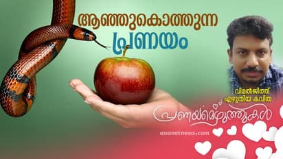 Love Poem : ആഞ്ഞുകൊത്തുന്ന പ്രണയം, വിമല്ജിത്ത് എഴുതിയ കവിത