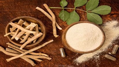 అశ్వగంధను ఎక్కువగా తింటే పురుషులకు ఆ సమస్యలు వస్తయ్ జర జాగ్రత్త.. 