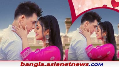 প্রেমের মরশুমে একটু উসাকানি কৌশিক গুড্ডুর, সৌজন্যে রোম্যান্টিক অ্যালবাম তেরি আদা