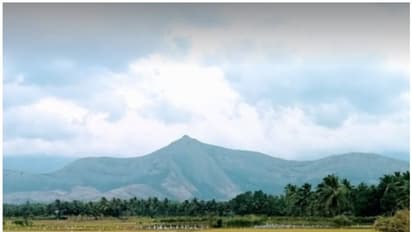 Koombachi Mala : കൂമ്പാച്ചി മലയിലേക്ക് കയറിയാല് കേസെടുക്കും; നിർദ്ദേശം നൽകി ജില്ലാ കളക്ടർ