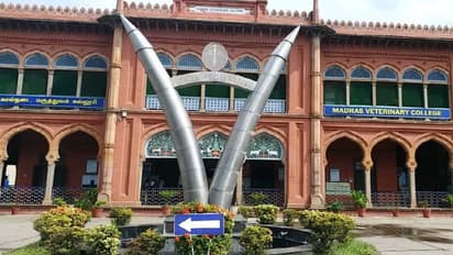 கால்நடை மருத்துவப் படிப்புகளுக்கான கலந்தாய்வு... பிப்.24 அன்று தொடங்குவதாக அறிவிப்பு!!