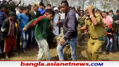 গাছের মগডালে বসে চিতাবাঘ, তীব্র আতঙ্ক শিলিগুড়িতে, কিভাবে হল উদ্ধার