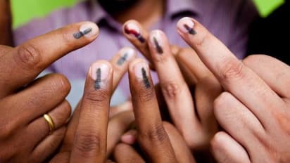 Dakshin Dinajpur Municipal Election 2022 Live: নেই স্পর্শকাতর বুথ, কী পরিস্থিতি দক্ষিণ দিনাজপুর পুরভোটে