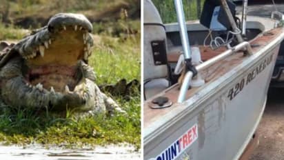 കണ്ണ് തുറന്ന് നോക്കിയപ്പോൾ തൊട്ടടുത്തൊരു മുതല, ഭയന്നു വിറച്ച് മത്സ്യത്തൊഴിലാളികൾ, ഒടുവിൽ...