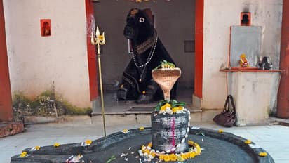 শ্রাবণে কোন শিবলিঙ্গের পুজোয় কী ফল মেনে, জেনে নিয়ে তবেই ঠিক করুন 