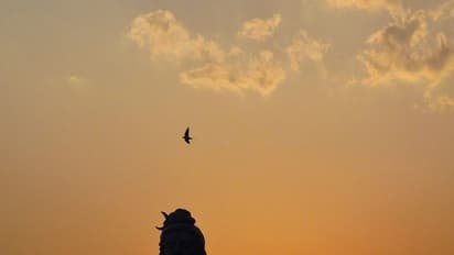 শ্রাবণ মাসে ভুলেও এই কাজগুলি করবেন না, এর ফল হতে পারে মারাত্মক