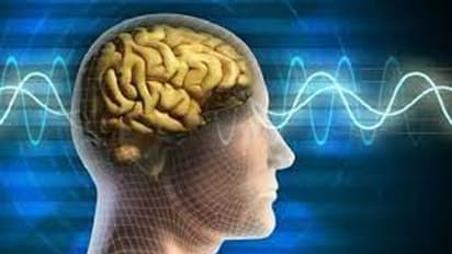 ಮೆಮೊರಿ ಬೂಸ್ಟ್ ಮಾಡಲು ಸಹಾಯ ಮಾಡುತ್ತೆ ಈ ಹರ್ಬ್ಸ್ 