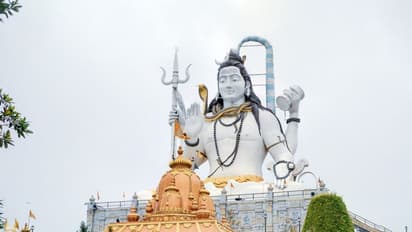 মহাশিবরাত্রিতে মনের প্রতিটি ইচ্ছে পূরণে, এই দিনে রাশি অনুযায়ী পালন করুন এই নিয়মগুলি