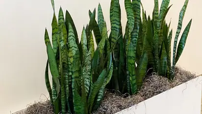 Want to make your bathroom look luxurious? Here are 5 DIY tricks