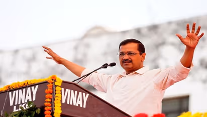 Bhagwant Mann to set targets for each minister, if its not met they can be removed: Kejriwal