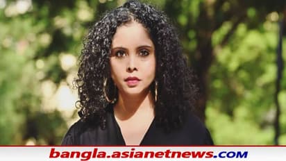 রাষ্ট্রসংঘের মানবাধিকার বিশেষজ্ঞদের দাবি ভিত্তিহীন, রানা আইয়ুবকে ‘হেনস্থার’ অভিযোগে মুখ খুলল ভারত