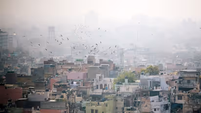 Air Pollution: दिल्ली की हवा में मामूली सुधार, AQI 144 दर्ज, प्लास्टिक के कचरे पर बैन