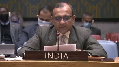 ইউক্রেনে ভারতীয়দের আটকে থাকা নিয়ে উদ্বেগ, আলোচনার মাধ্যমেই সমাধান সম্ভব, রাষ্ট্রসংঘে জানাল ভারত