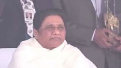 UP Chunav 2022: मायावती बोलीं- बीजेपी सरकार में ब्राह्मणों का नुकसान, सपा में दंगाइयों और गुंडो का बोलबाला