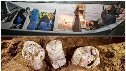 Drugs Smuggling: ഒമാനില്‍ വന്‍ മയക്കുമരുന്ന് വേട്ട; രണ്ട് പ്രവാസികള്‍ പിടിയിൽ