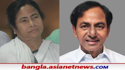 চব্বিশের মোদী বিরোধী প্রধান মুখ কে, কেসিআর-র উত্থানে কী চাপ বাড়ছে মমতার উপর