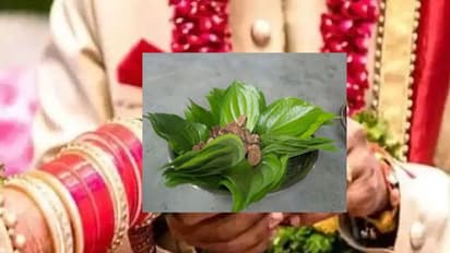 மறக்காமல் தினமும் 2 வெற்றிலை மட்டும் சாப்பிட்டு பாருங்க, உடல் நச்சுக்களை வெளியேற்றி பல நன்மை செய்யும்..