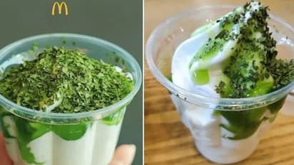 Coriander Ice Cream : മല്ലിയില കൊണ്ട് ഐസ്‌ക്രീം; പ്രമുഖ ബ്രാന്‍ഡിന് ട്വിറ്ററില്‍ കല്ലേറ്