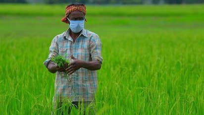 விவசாய இடுபொருட்களை வலுக்கட்டாயமாக விற்றால் உரிமம் ரத்து... வேளாண் மற்றும் உழவர் நலத்துறை எச்சரிக்கை!!