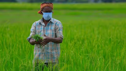 ఈ ఏడు మార్గాలతో.. దేశీయ వ్యవసా రంగంలో సమూల మార్పులు.. ప్రధాని మోడీ..