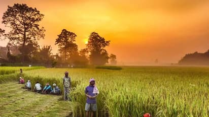 100 நாள் வேலைத்திட்டம்: இறுக்கும் மத்தியஅரசு; மாநில அரசுகள் நிதிபெற புதிய நிபந்தனை