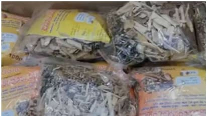 Expat Woman Arrested: വന്‍ മയക്കുമരുന്ന് ശേഖരവുമായി പ്രവാസി വനിത വിമാനത്താവളത്തില്‍ പിടിയിലായി