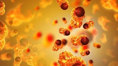 Cancer :   സന്തോഷവാർത്ത : എല്ലാ രോഗികളിലും ക്യാൻസർ ഭേദമായി; പരീക്ഷണ മരുന്ന് ഫലപ്രദം