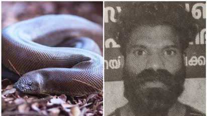 red sand boa snake : ഇരുതലമൂരിക്ക് വില പറഞ്ഞുറപ്പിച്ചത് 10 കോടി!, കച്ചവടത്തിന് മുമ്പേ യുവാവ് പിടിയില്‍