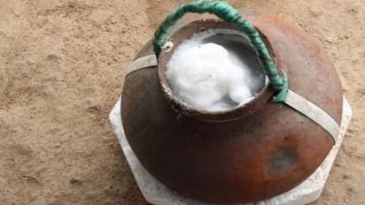 Summer Drink: ఎండాకాలం తెలంగాణ స్పెషల్ డ్రింక్ తాటి కల్లు తాగితే ఏమౌతుంది..?