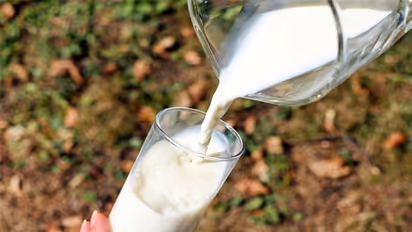 Chikkaballapur: ಬೇಸಿಗೆ ಆರಂಭದ ಬೆನ್ನಲೇ ಹಾಲು ಉತ್ಪಾದನೆ ಕುಸಿತ