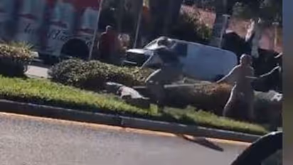 Viral video : बेकाबू हुआ मगरमच्छ तो हलक में अटकी जान, ऐसे कंट्रोल में आया यह खूंखार जलचर